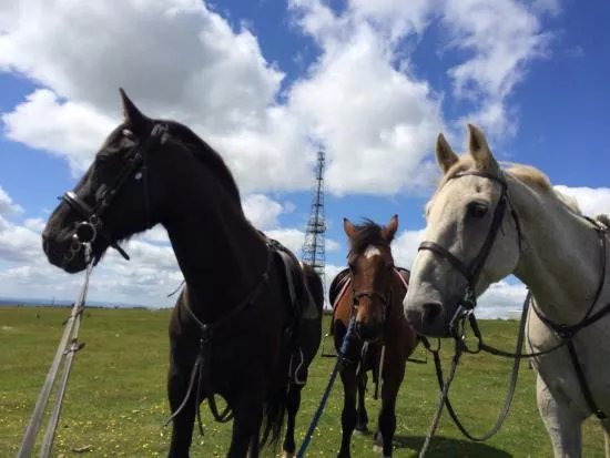 Caradon Hill Trekking and Equestrian Centre