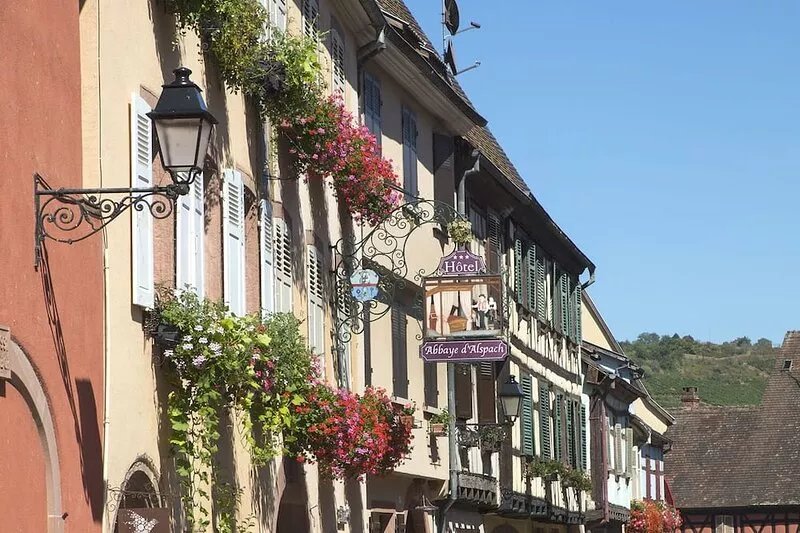 Romantic apartment on the Alsace wine route