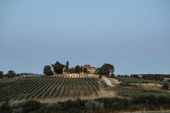 Perelli Winery