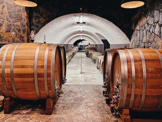Wine Tasting at Winery Lipovac