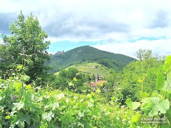 Chateau du Haut-Ribeaupierre