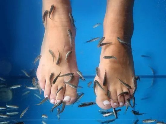 Bio Spa Centar
