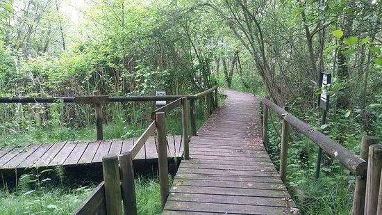 Parco Palude di Onara