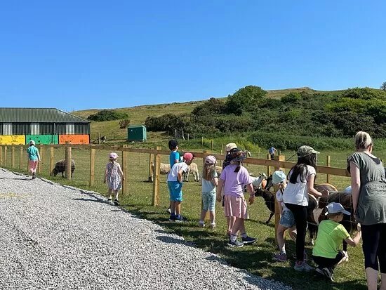 The Funny Farm