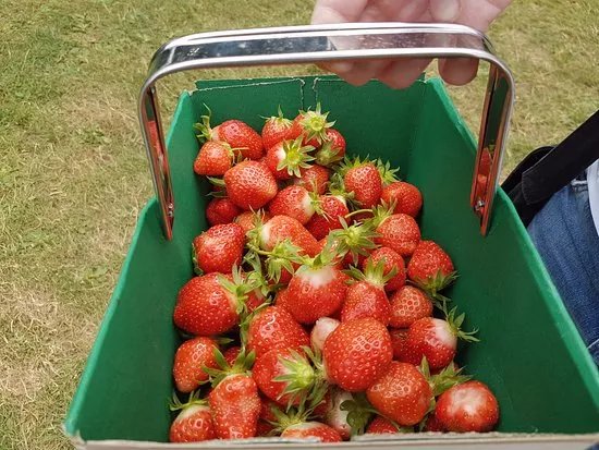 Gravely Fruit Farm