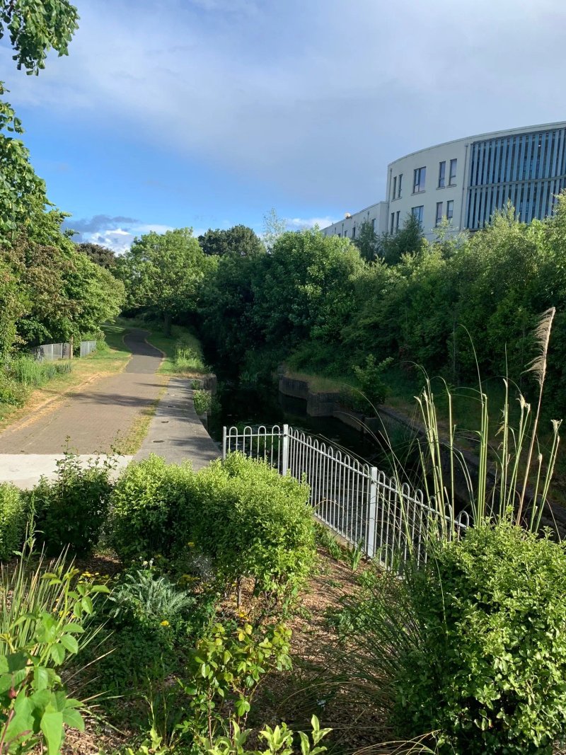 Linear Park