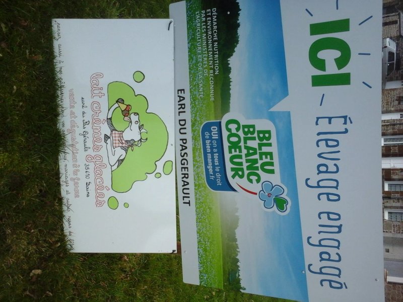Lait cremes glacees