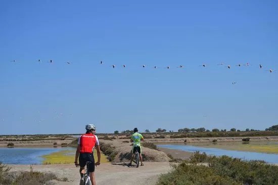 Bike Tour Donana