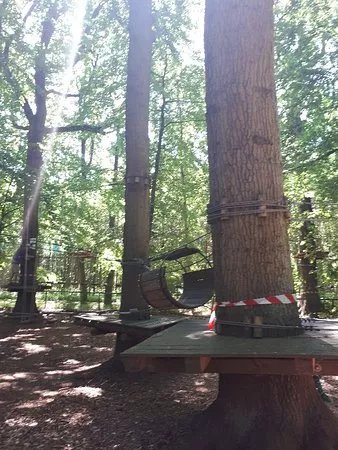 Kletterwald Kuhlungsborn