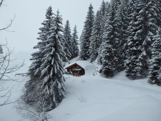 Wanderung Bussalp - Bort
