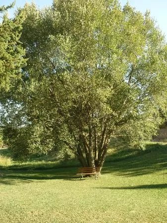 Posada Rincon de Alardos