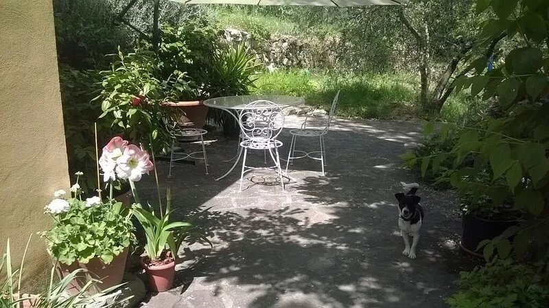 Hilltop paradise cottage, a stone's throw from Florence !