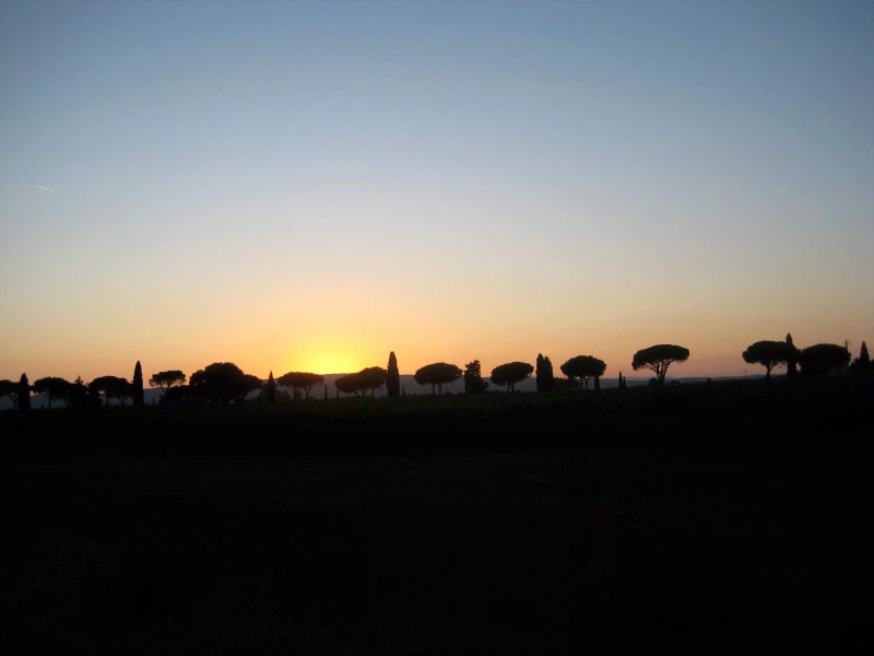 Vacanze Toscane Sas Di Annachiara Moscardini & C.