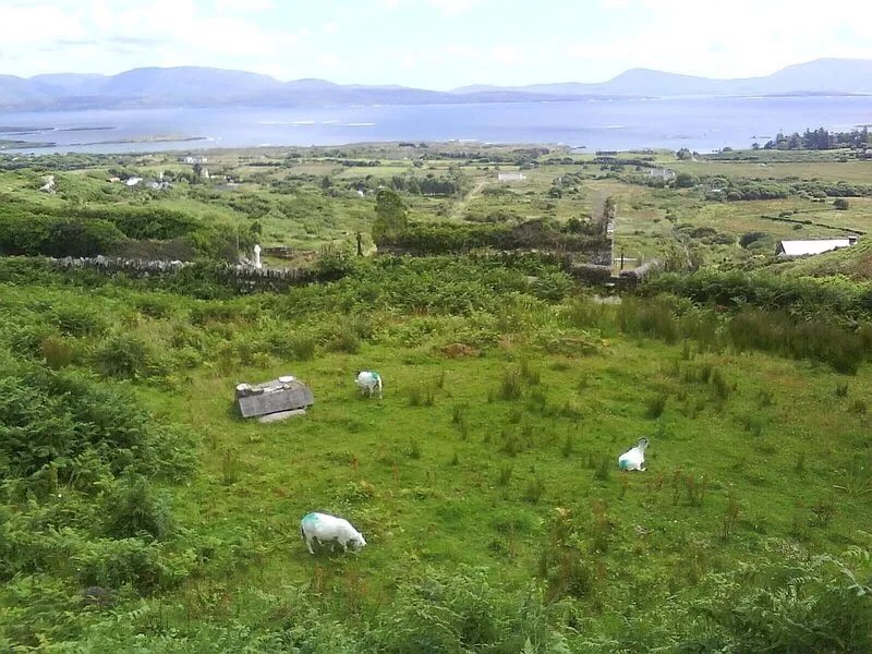 A romantic hideaway for two in a stunning seaside location near Caherdaniel