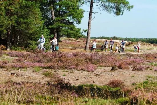 Recreatief Loon op Zand
