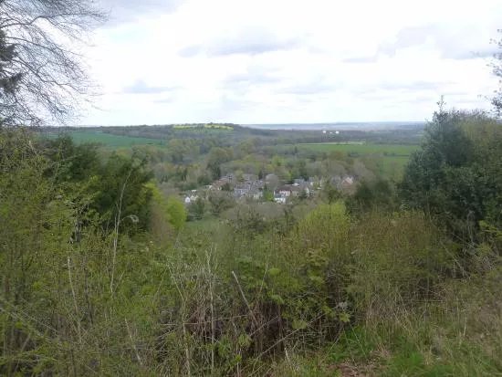 In the Footsteps of Gilbert White