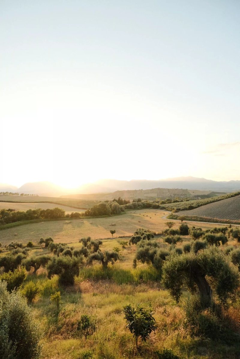 Agriturismo Rende