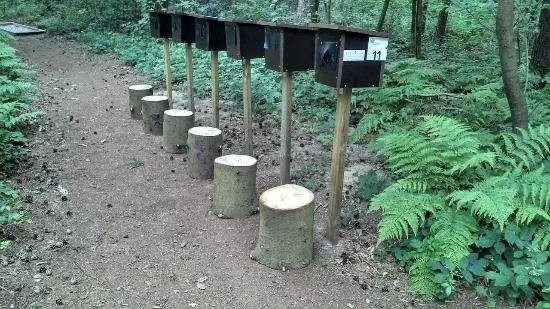Barfusspark Harkebrugge