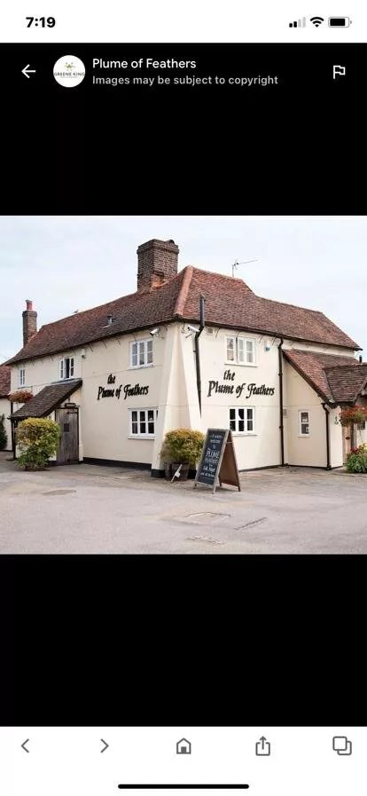 The Plume Of Feathers