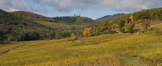 Domaine Alfred Wantz