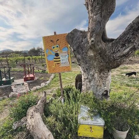 Bees House Rodos