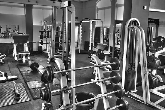Blood Sweat & Muscle