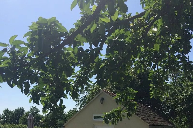 Cosy Chalet - Sleeps 2-3,  Peaceful Setting, 5kms To Shops,Linen/Towels