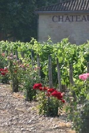 Bordeaux Saveurs