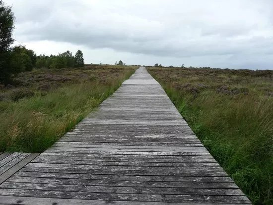 Corlea Trackway Visitor Centre