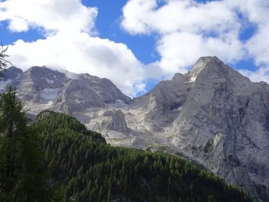 Ente Parco Nazionale Delle Dolomiti Bellunesi
