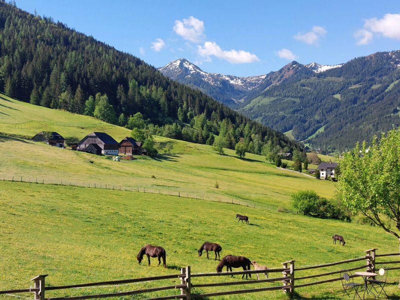 Der Perweinhof