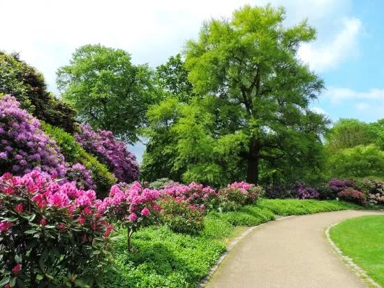 Jardin des Plantes