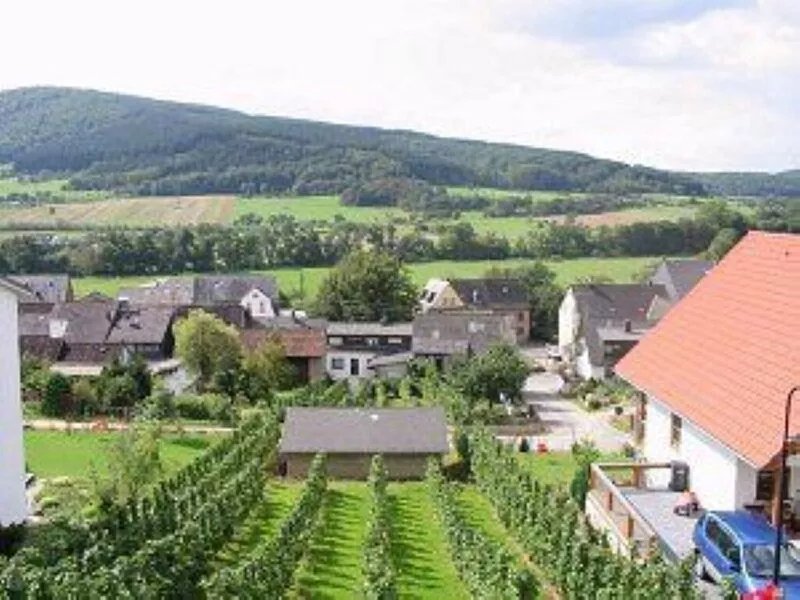 Well-kept vacation home in the middle of the vineyards. Apartment 1, short