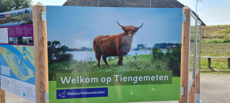 De Hoeksche Loods B&B