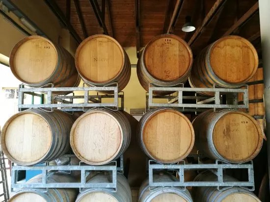 Azienda Vitivinicola Nervi Srl