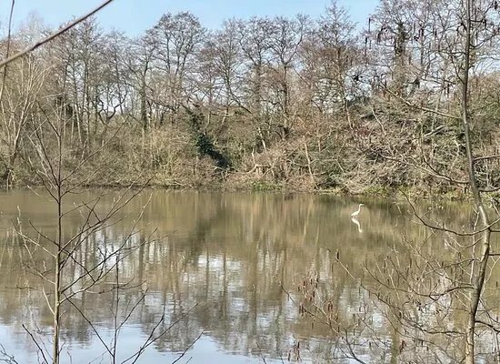 Darlands Nature Reserve