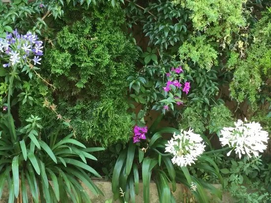 Jardin botanique