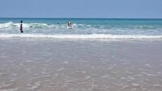 Ecole des Vagues