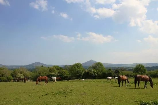 Killegar Stables Riding School