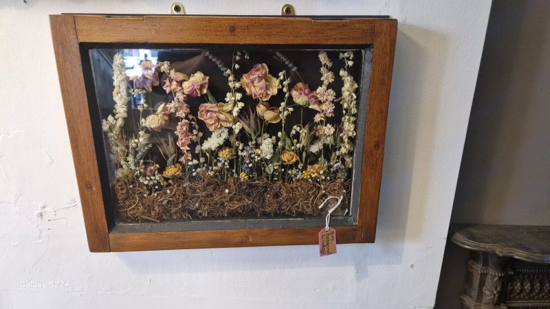 Cheeky Squirrel Cafe, Driffield
