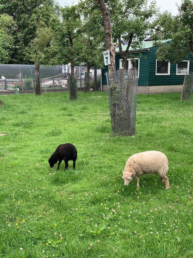 De Oude Zustertuin
