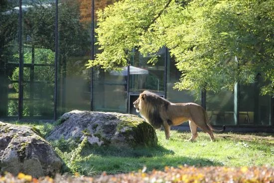 Augsburg Zoo