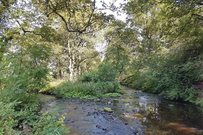 BULLACE BARN, pet friendly, with a garden in Millhouse Green