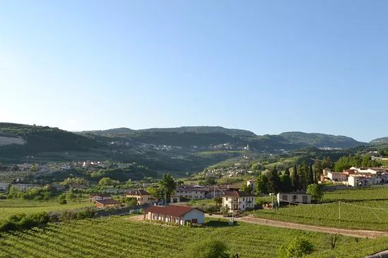 Fratelli Vogadori