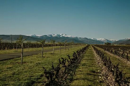 Bodegas Finca La Emperatriz