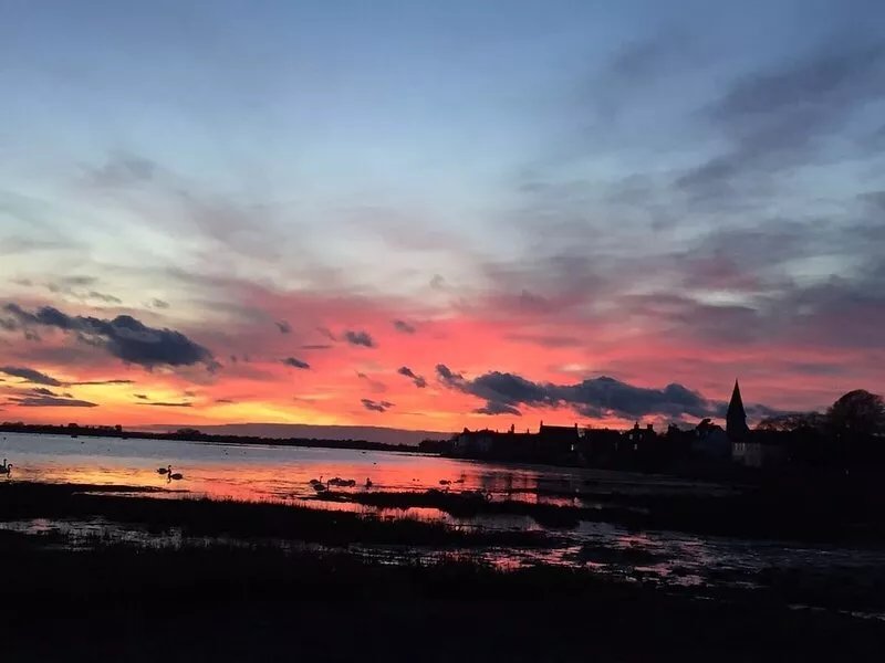 Montrose - your home by the sea