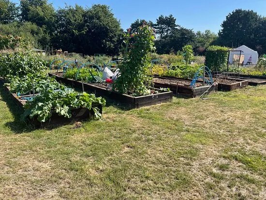 Goscote Greenacres Community Garden