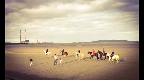 The Paddocks Riding Centre