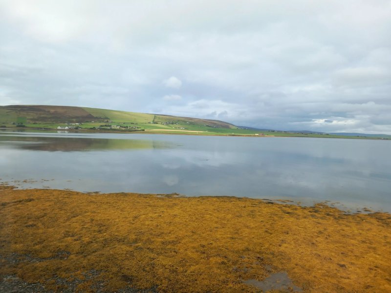 Waterfront House Hotel Finstown