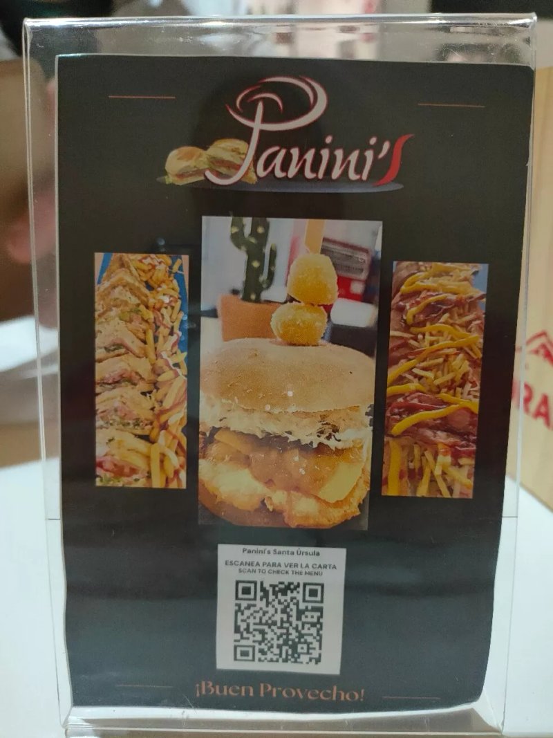Paninis